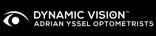 Dynamic Vision Logo